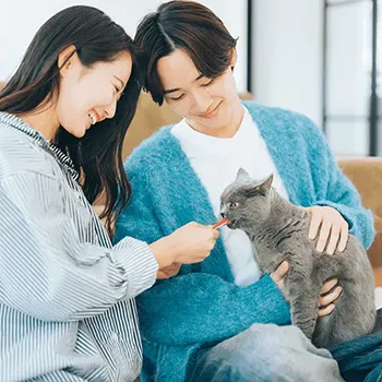 ペット用フローリング