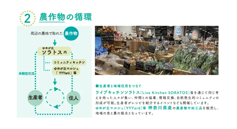 農作物の循環を示すマルシェの写真、料理体験の写真と循環図。