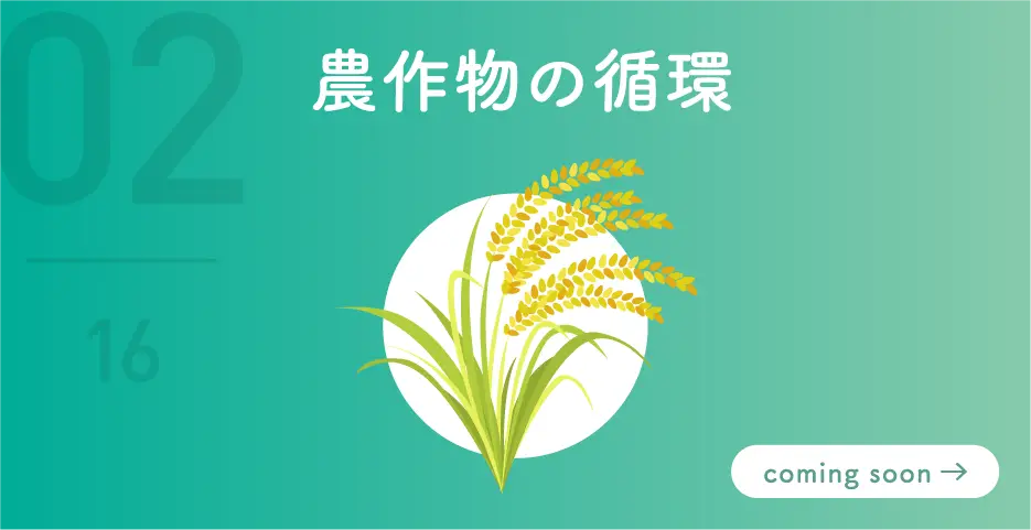 農作物の循環