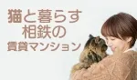 グレーシアフィット三ツ境